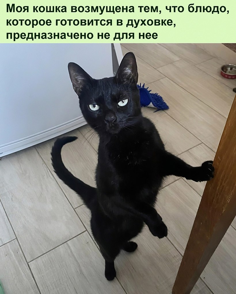    ,      !