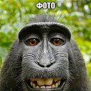 ���� ����, ������, 66 ��� - ��������� 25 ���� 2023 � ������ ���� ����������