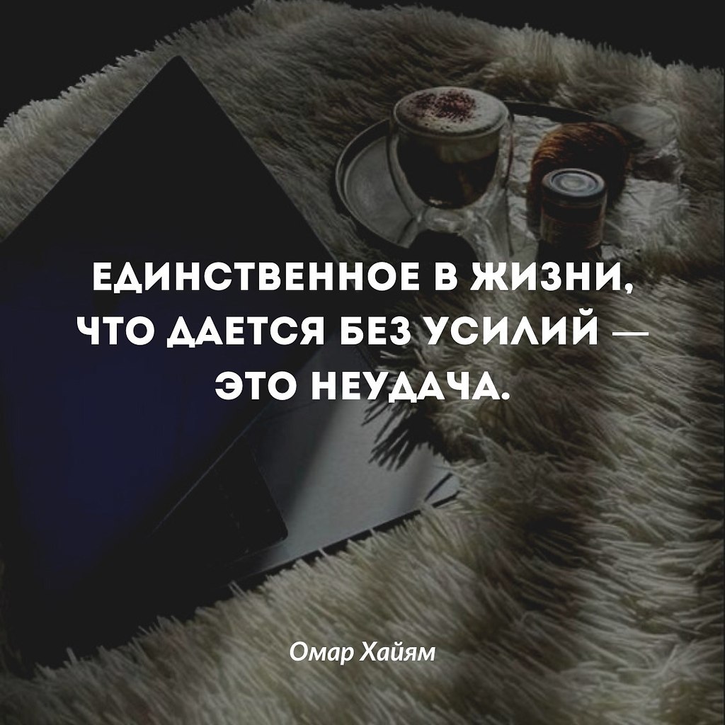       - 8  2023  00:33