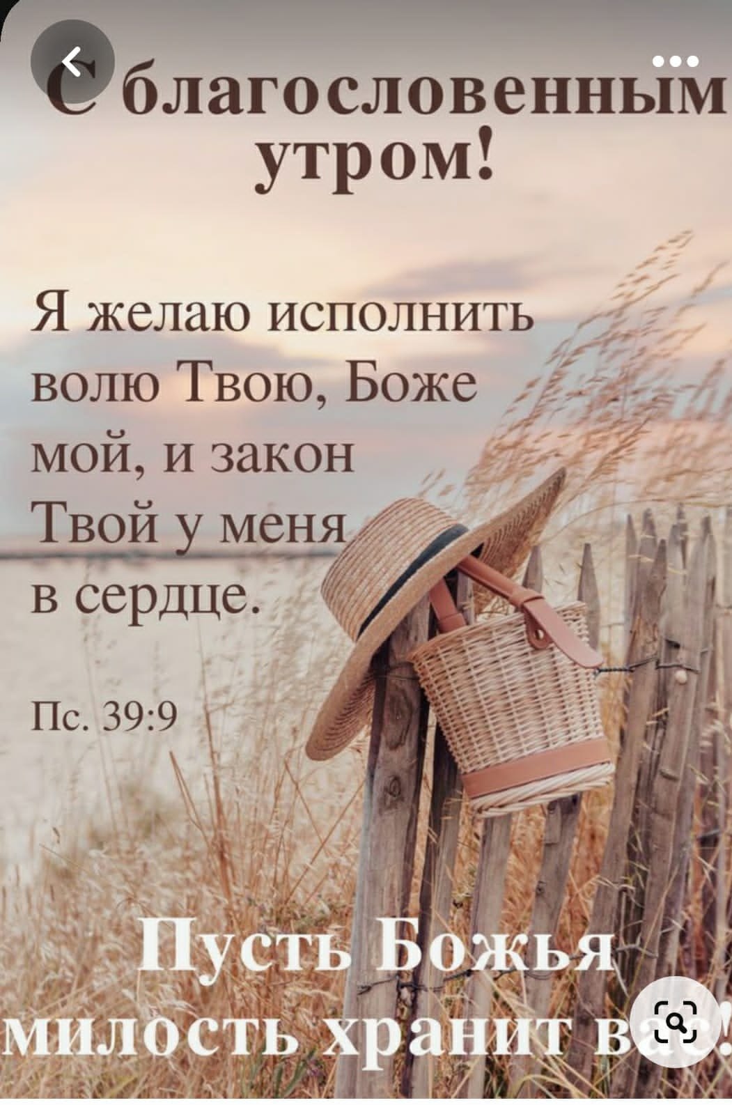 ***Victoria Viktorovna*** - 7  2023  07:42