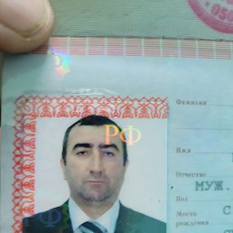 ���� ����, �������, 56 ��� - ��������� 2 �������� 2023