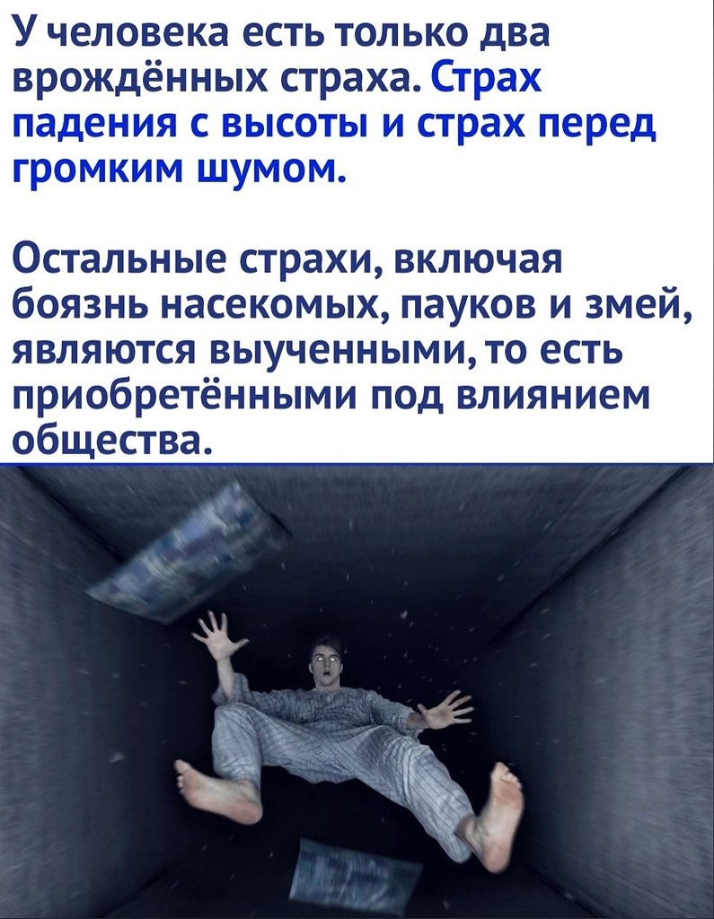 Очень интересный факт | Интеллектуариум © | Фотострана | Пост №2566555132