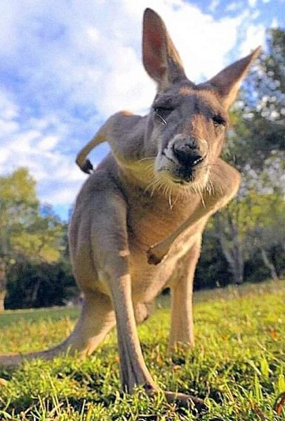 . ?  ,  !    !  !  ...