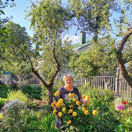 ���������, ������, 51 ���