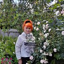 ���� �������, ����������, 68 ��� - ��������� 18 ���� 2023 � ������ ���� ����������