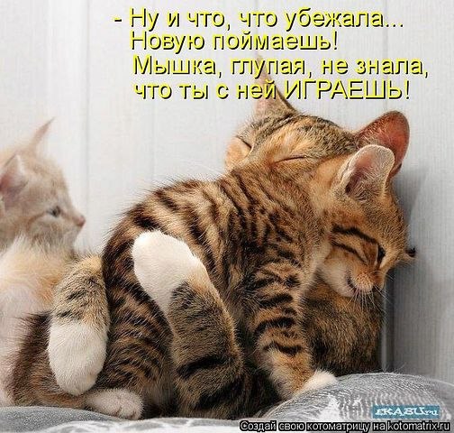   - 7  2023  09:27