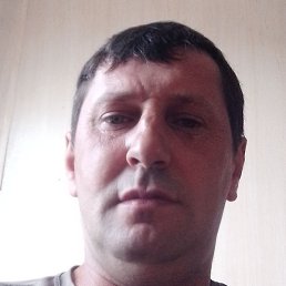 ���������, ������-��-����, 41 ���