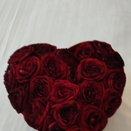 ������, ������, 36 ���