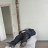 ���� ������, ������, 39 ��� - ��������� 3 �������� 2023