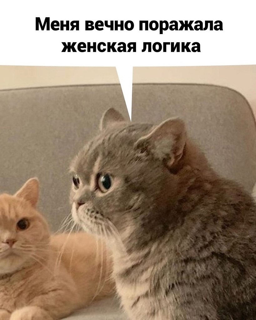   ..     ,   ,   ,   ,  ... - 3