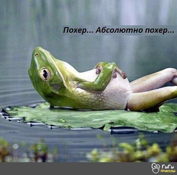 ***Victoria Viktorovna*** - 12  2023  15:26