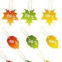 ���� �����, �����-���������, 35 ��� - ��������� 21 �������� 2023 � ������ ���� ����������