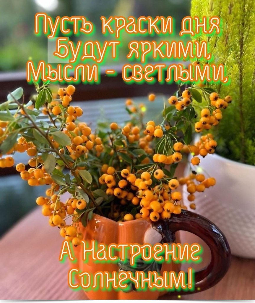 ~~~