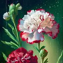 ���� Jowy, ������, 45 ��� - ��������� 8 �������� 2023 � ������ ���� ����������