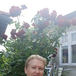 ���� ����, �������, 71 ��� - ��������� 7 ���� 2023