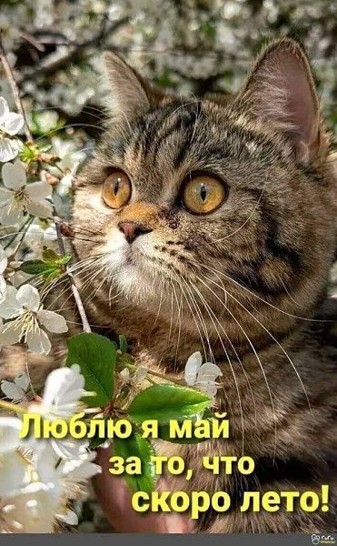   - 5  2023  16:22