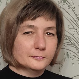 �����, ������, 50 ���