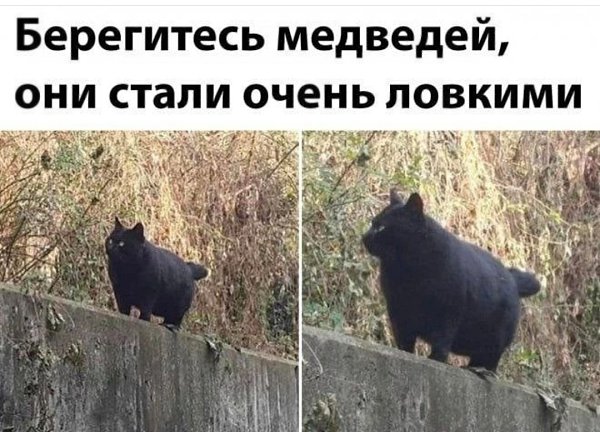  - 16  2023  14:19