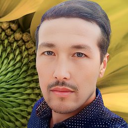 ����, �������, 34 ����