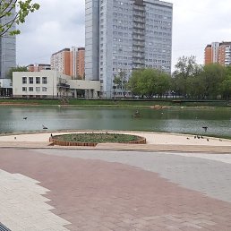 �����, ������, 33 ����