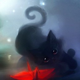 �����, �����-���������, 41 ���