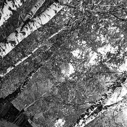 �����, ������, 34 ����