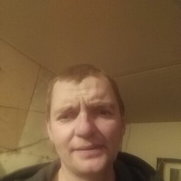 , 43 , 