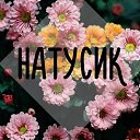 ���� Nata, ������� - ��������� 5 ����� 2023 � ������ ���� ����������