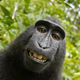 ���� �����, ��������, 22 ���� - ��������� 22 ���� 2023