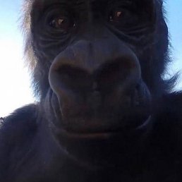 �������, ��������, 23 ����