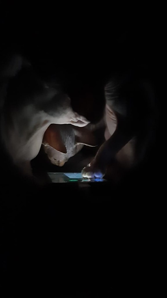 ,    ... - .. )