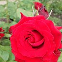 ���� ����������, ���������, 47 ��� - ��������� 14 ���� 2023 � ������ ���� ����������