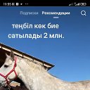 ���� �������, ������, 37 ��� - ��������� 17 ������� 2023 � ������ ���� ����������