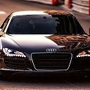 ���� ������, �����-���������, 38 ��� - ��������� 8 ������� 2023 � ������ ���� ����������