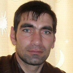 �����, �������, 42 ����