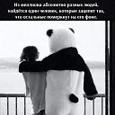 ���� ������, ����, 42 ���� - ��������� 25 ���� 2023 � ������ ���� ����������