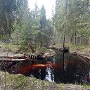 ���� Michail, ������, 42 ���� - ��������� 7 ������� 2023 � ������ ���� ����������