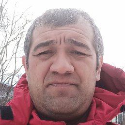 ������, �����-���������, 43 ����