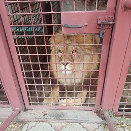 ���������, ������, 48 ���