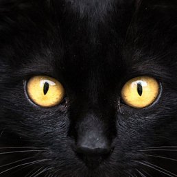 �����, ������, 25 ���