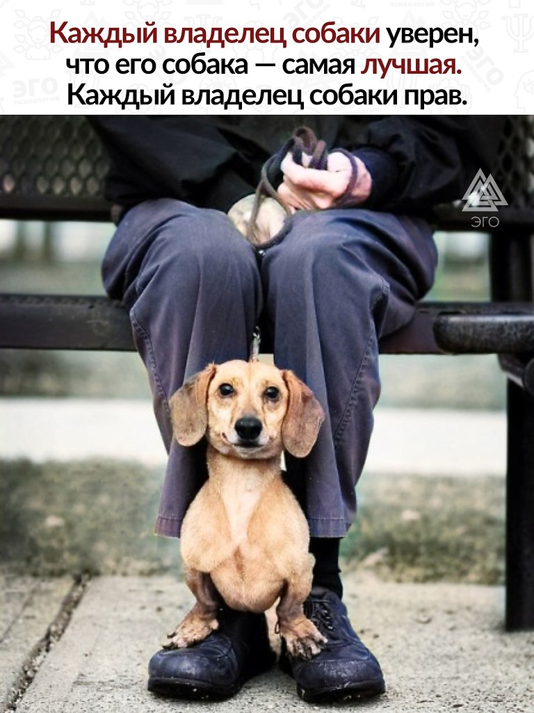  ,      ...   ,      
