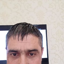 ���� ���, �������, 43 ���� - ��������� 26 �������� 2023