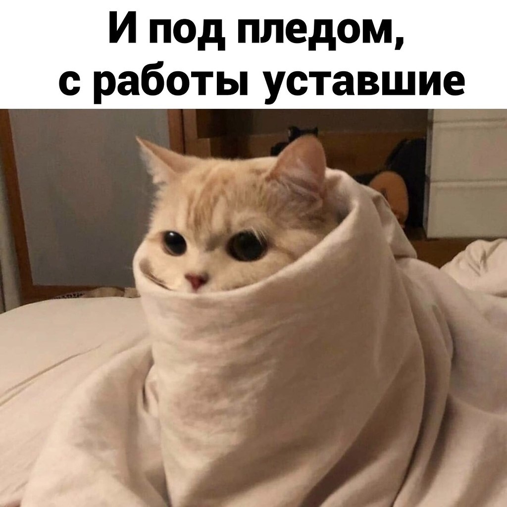   - 3