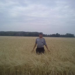 �������, ��������, 35 ���