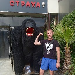 �������, ����, 41 ���