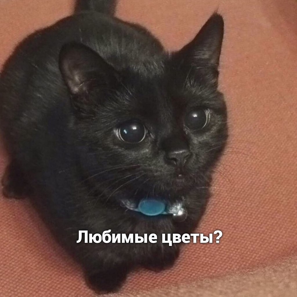     ,   )
