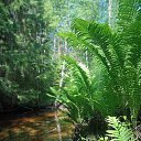 ���� Michail, ������, 42 ���� - ��������� 7 ������� 2023 � ������ ���� ����������