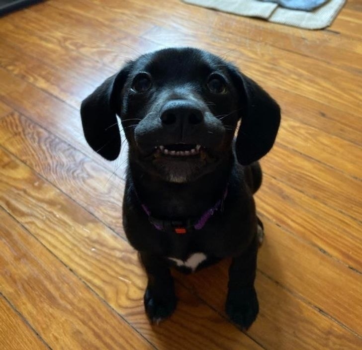 ---!    