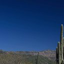 ���� ����, ������, 25 ��� - ��������� 3 �������� 2023 � ������ ���� ����������