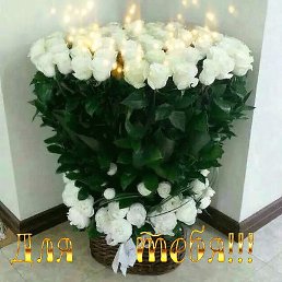 ������, �����-���������, 40 ���